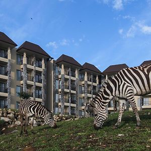 Baobab Safari Resort